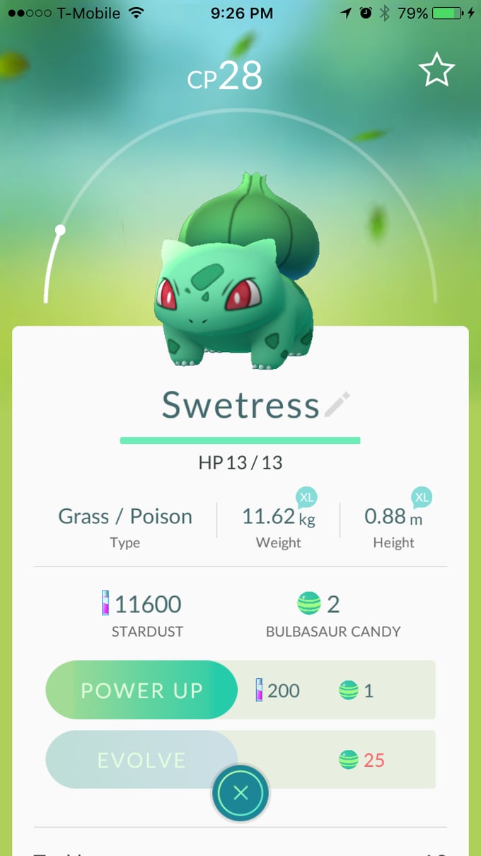 Bulbasaur aka "Swetress"