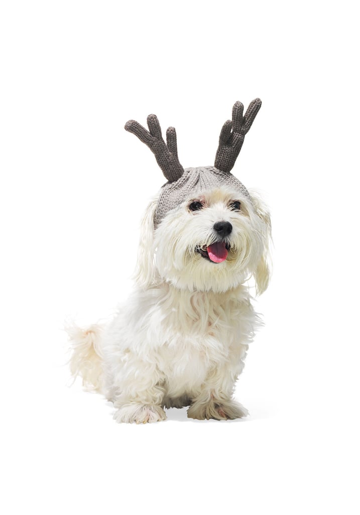 Antler Beanie
