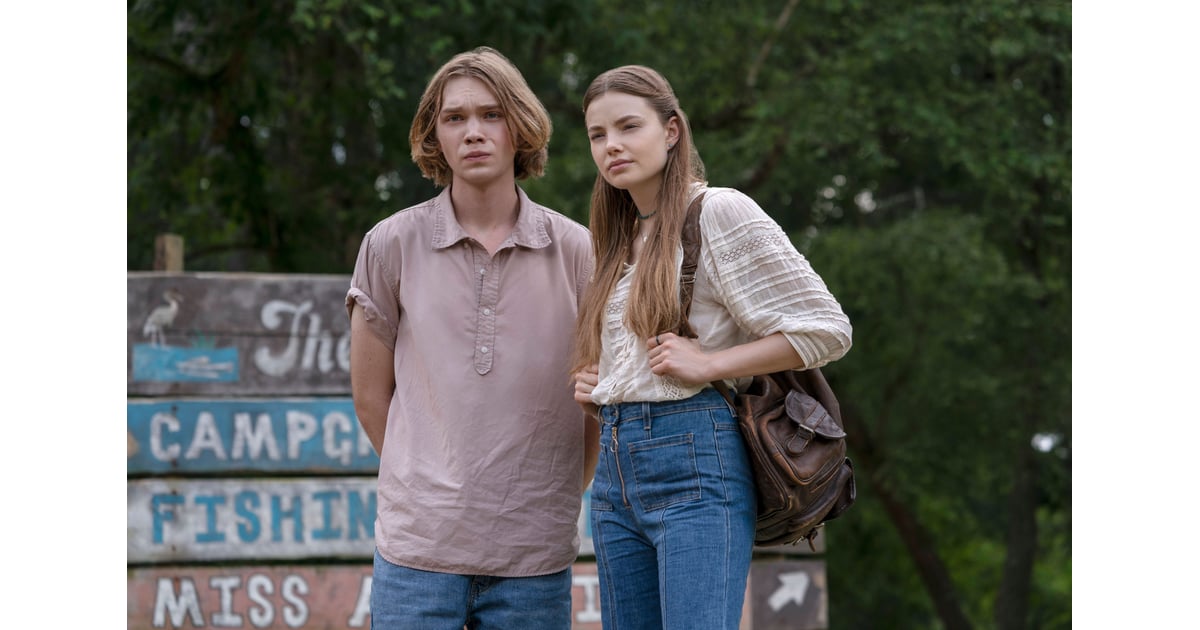 Looking For Alaska Tv Shows Like Sex Education — And Where To Watch