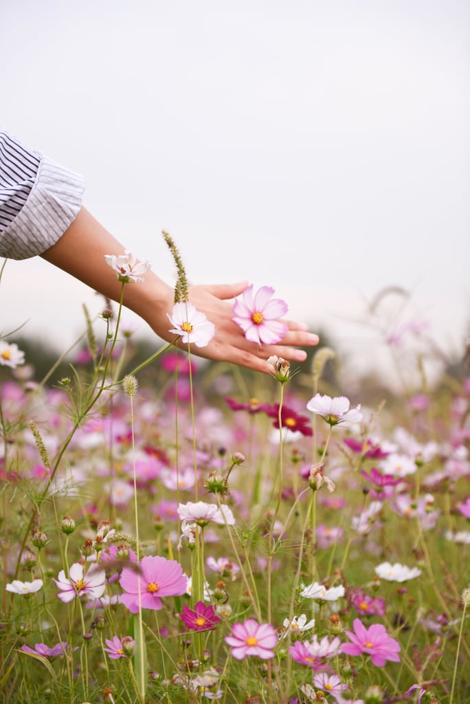 Pick wildflowers.