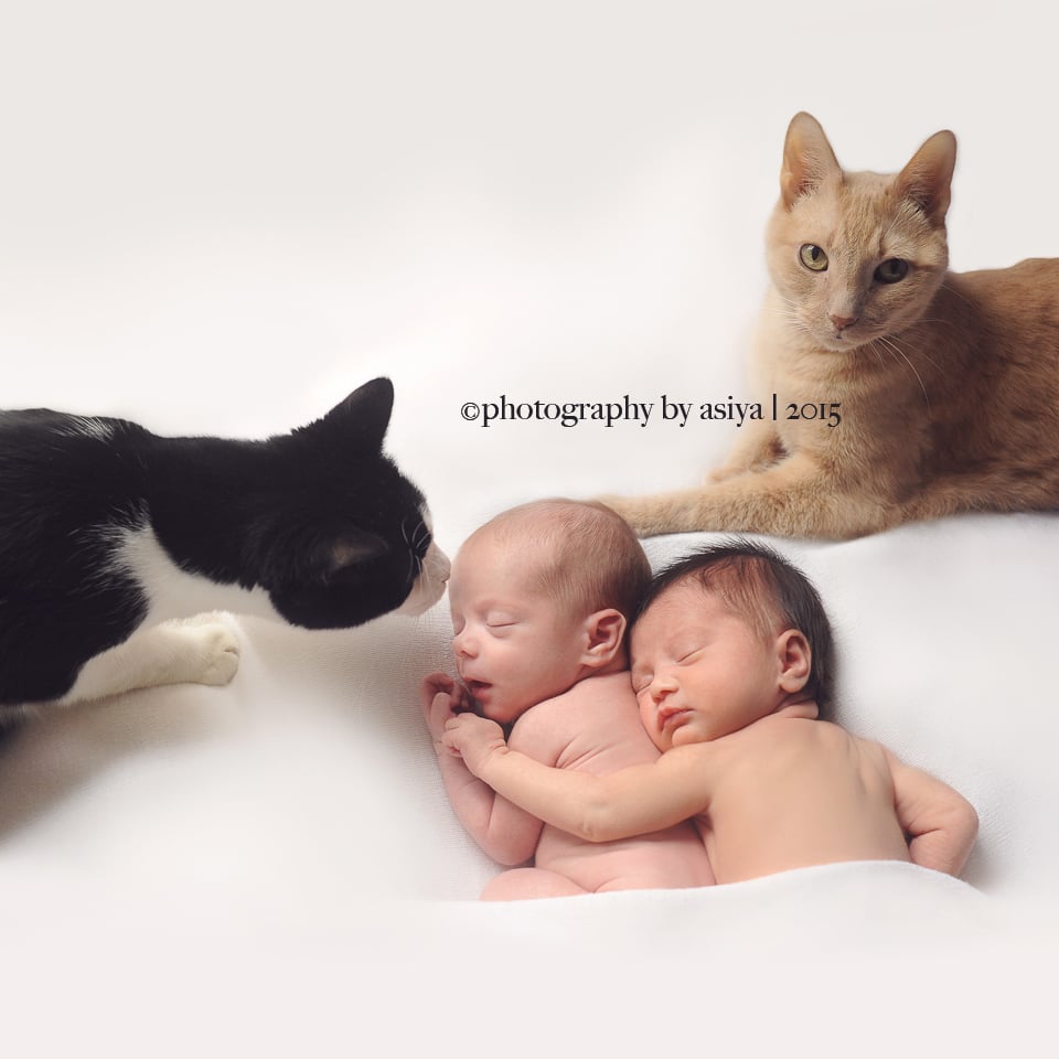 Adorable Newborn and Pet Photos