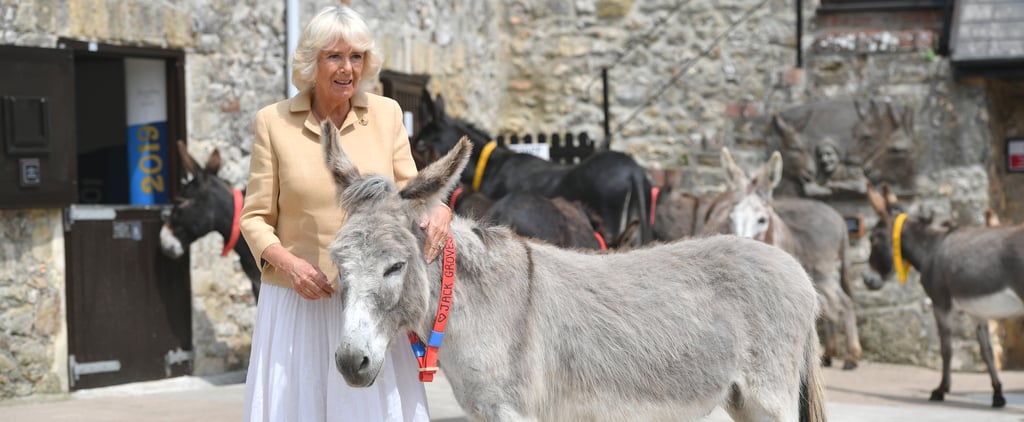 Camilla Parker Bowles Spent Her 72nd Birthday With 2 Donkeys Named William and Harry