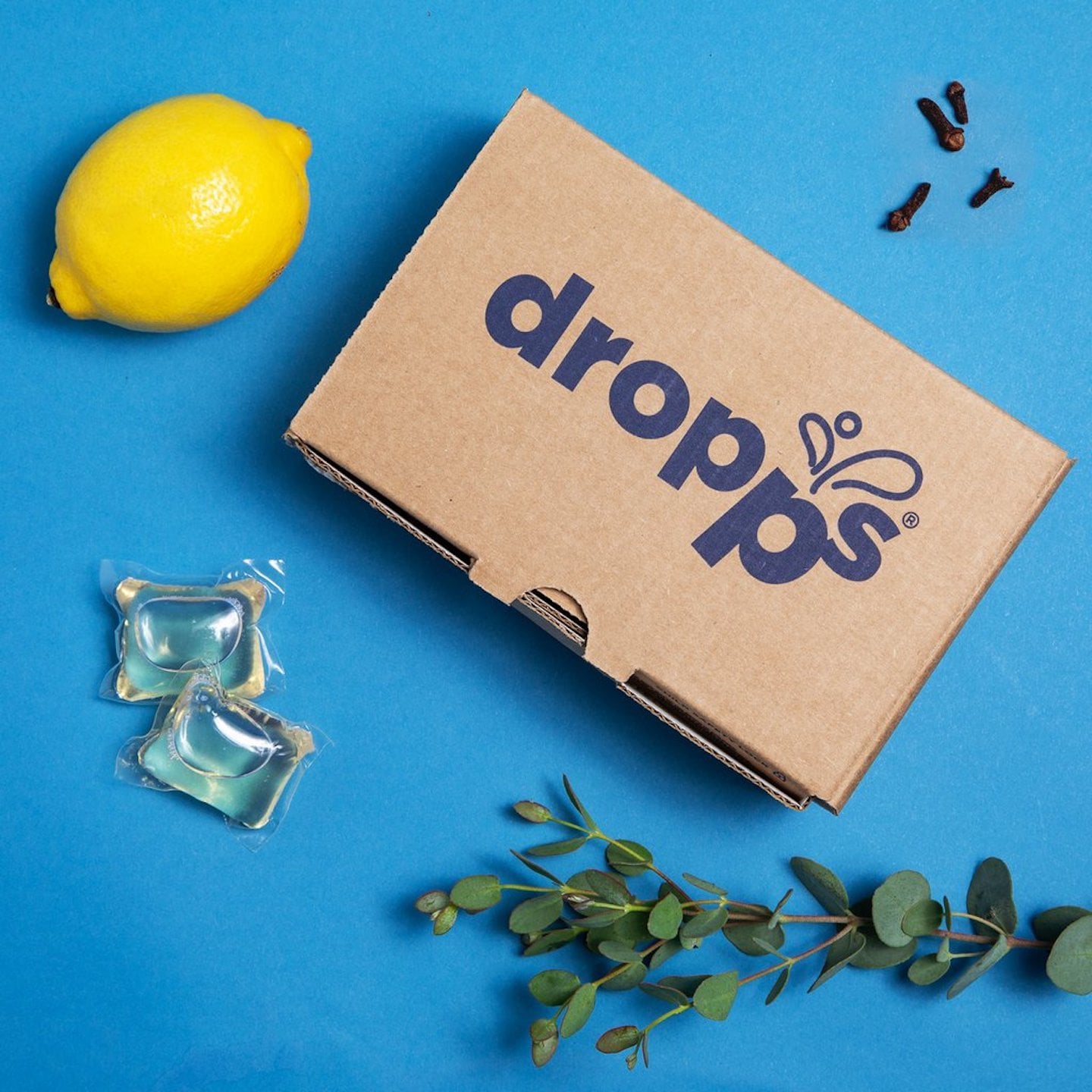 dishwasher pods by dropps