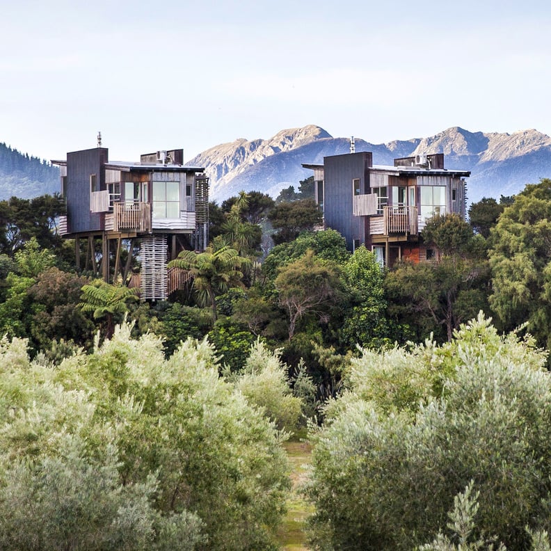 Hapuku Lodge + Tree Houses