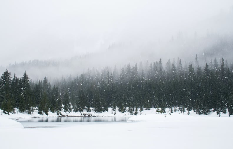 Holiday Zoom Background: Winter Wonderland