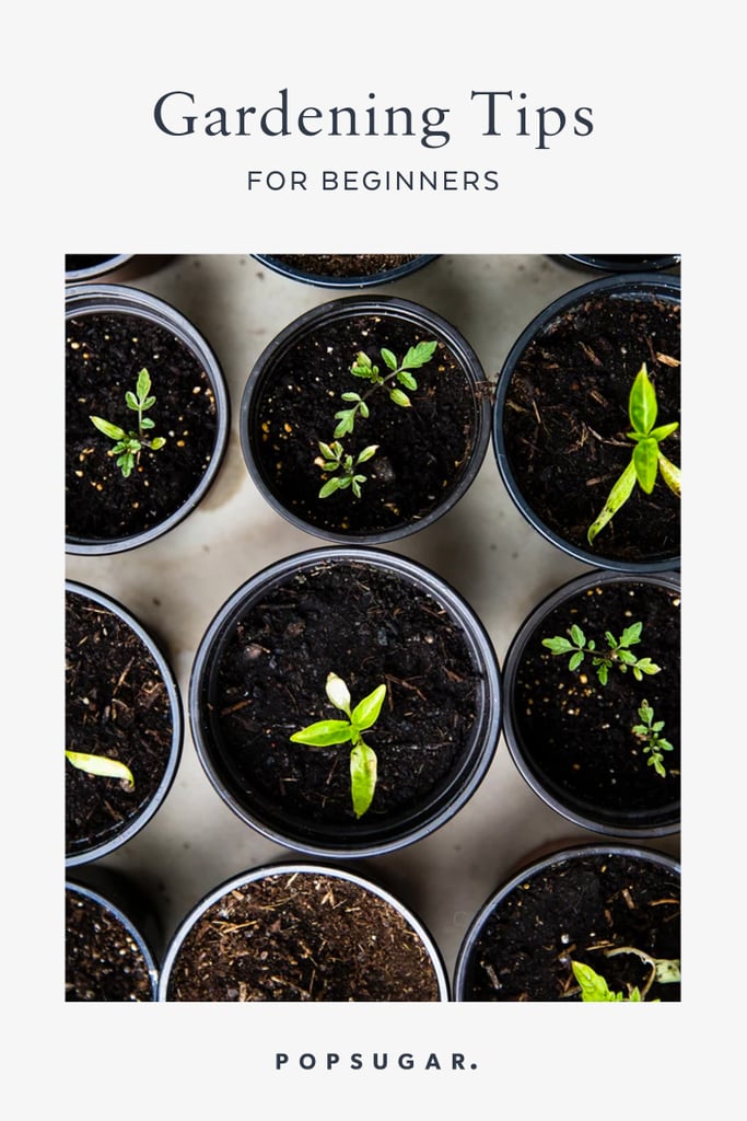 Gardening Tips For Beginners
