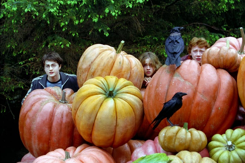 Pumpkin Ron