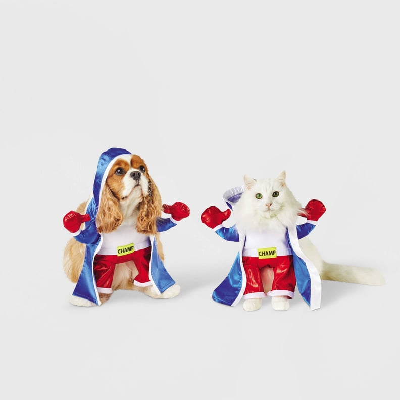 For the Ultimate Fighter: Hyde & EEK! Boutique Boxer Dog and Cat Costume