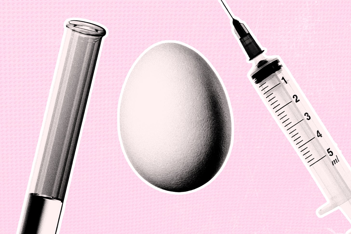 Egg freezing treatment survival guide