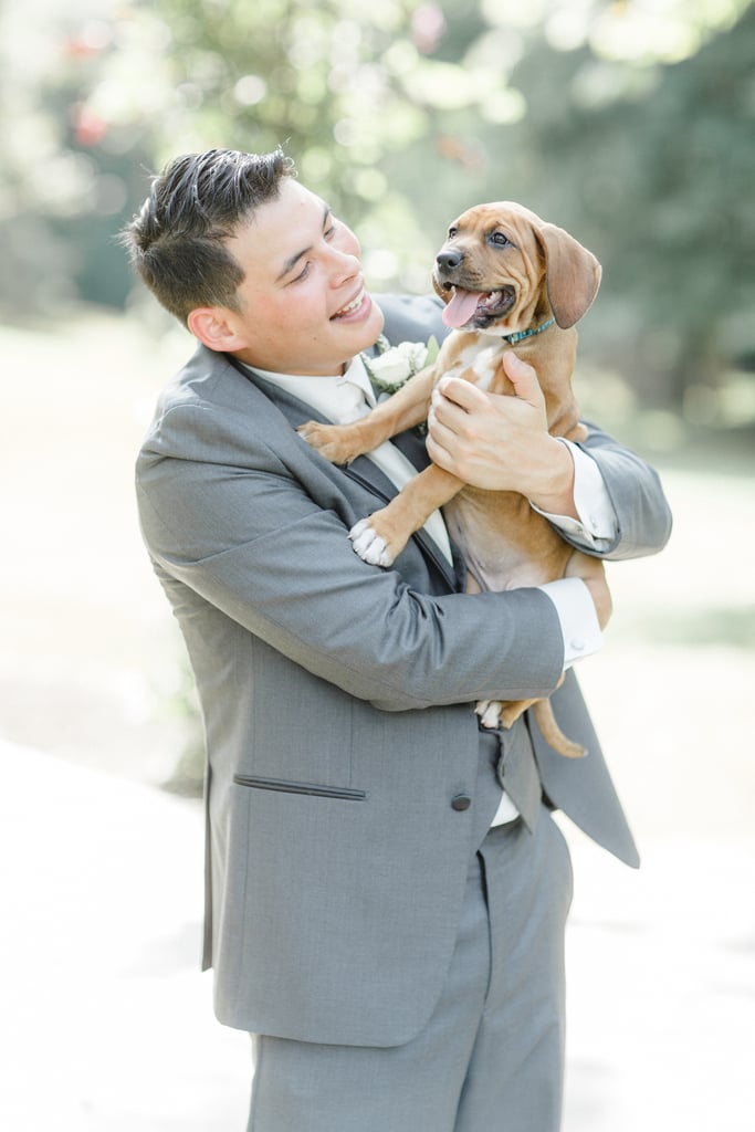 Bride Uses Puppies in Wedding Photos
