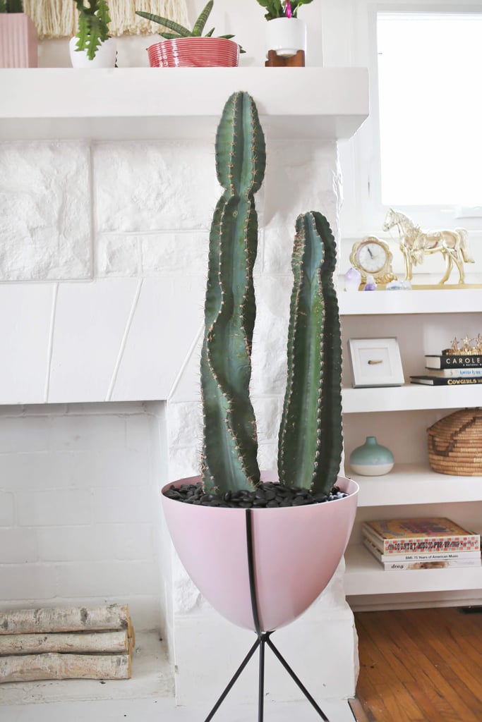 Balance Your Color Scheme