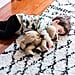 Why Do Toddlers Sleep on the Floor?