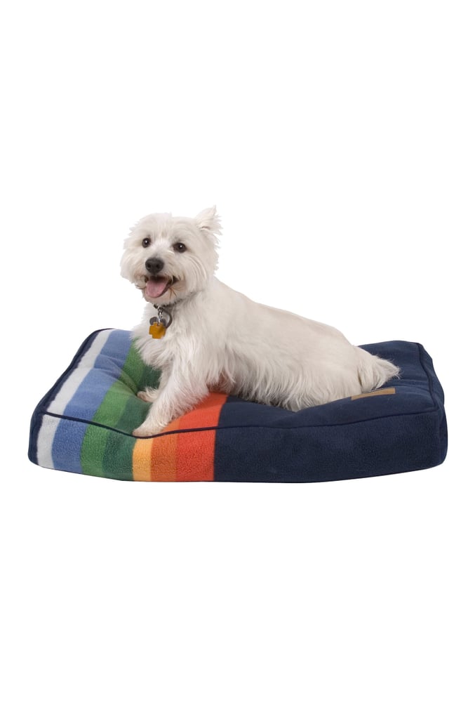 Carolina Pet Company x Pendleton Crater Lake National Park Pet Bed