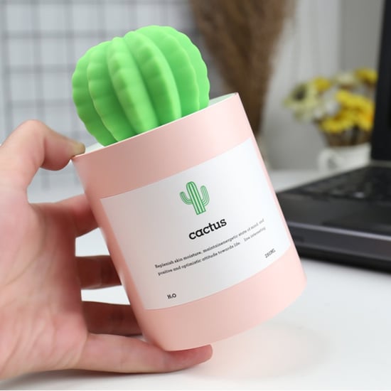 Portable Cactus Humidifier
