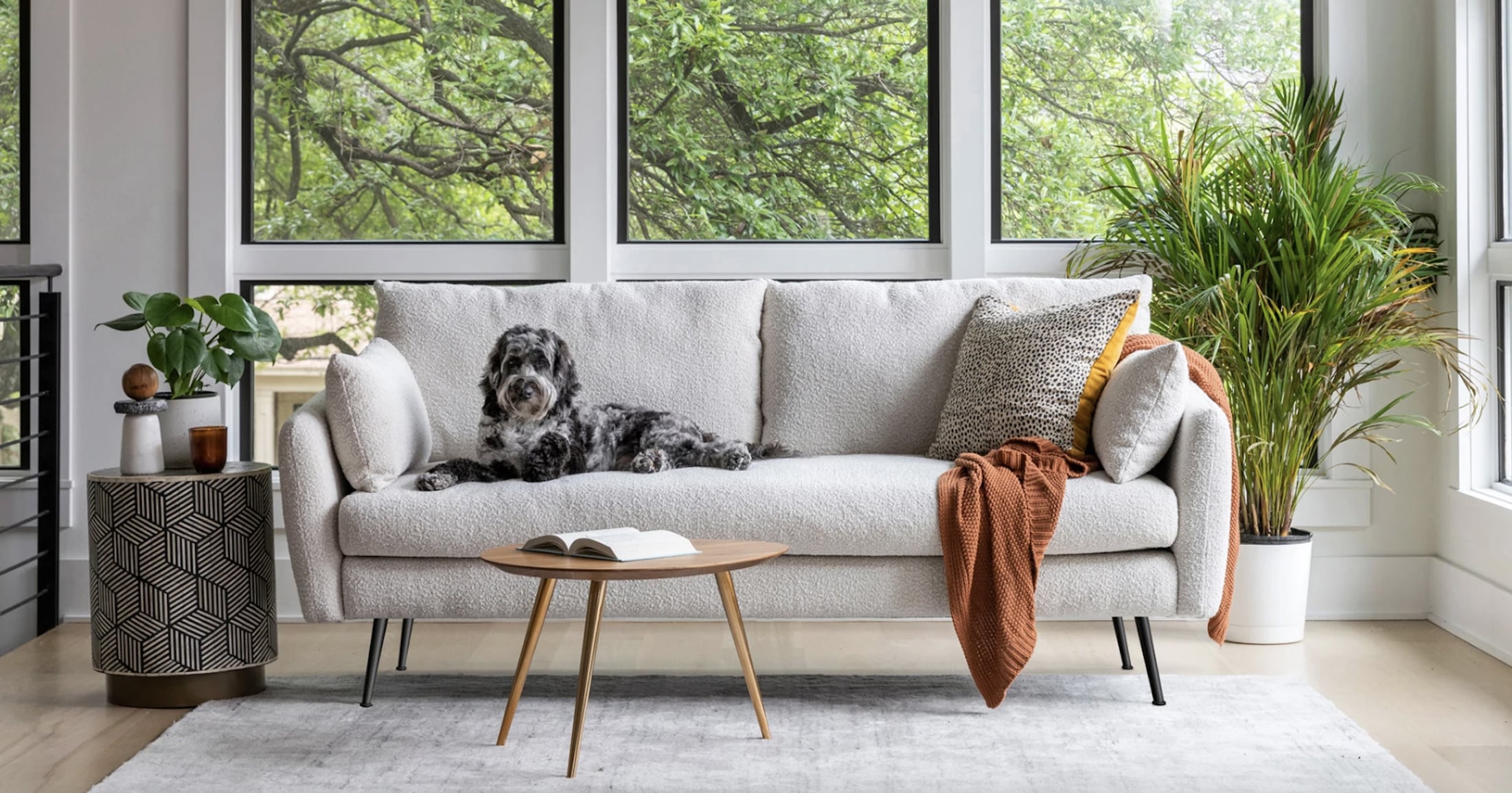 Albany Park’s Internet-Famous Sofas Are on Sale For Up to 35% Off — Shop Our Favorites