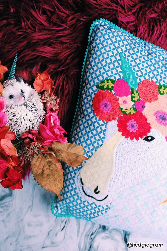 unicorn pillow