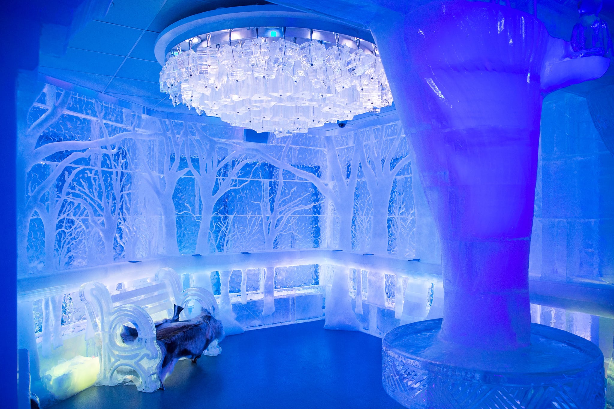 The Honeymoon The Coolest Pun Intended Ideas For A Frozen