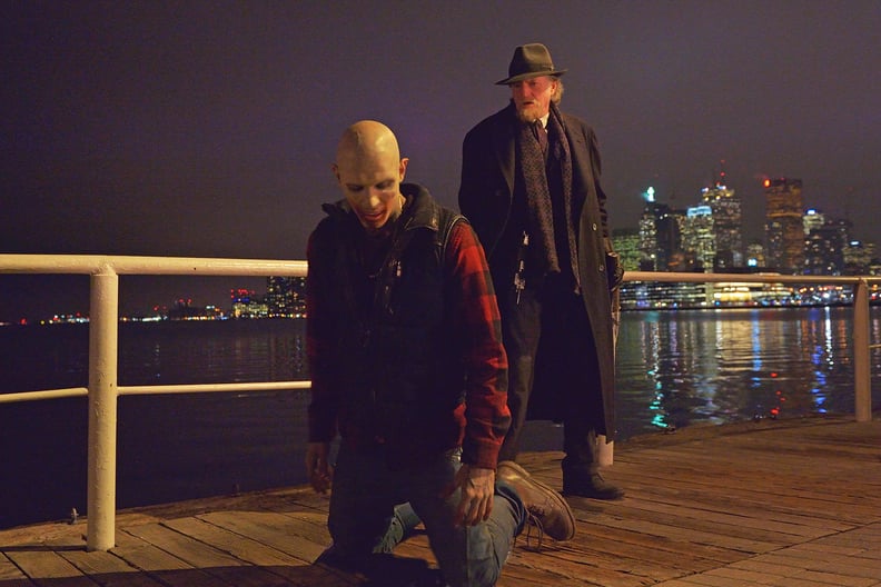 The Strain