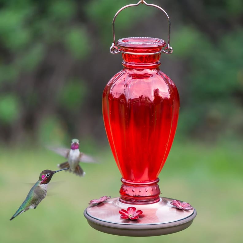 A Red Feeder: Perky-Pet Red Daisy Vase Decorative Glass Hummingbird Feeder