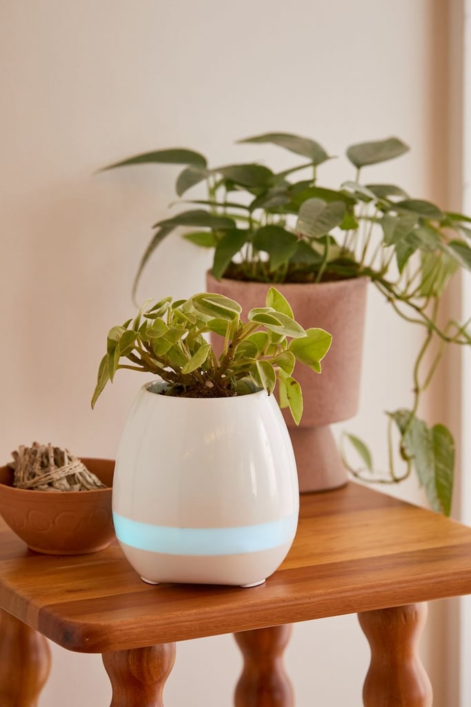 For Plant Parents: Planter Bluetooth Speaker
