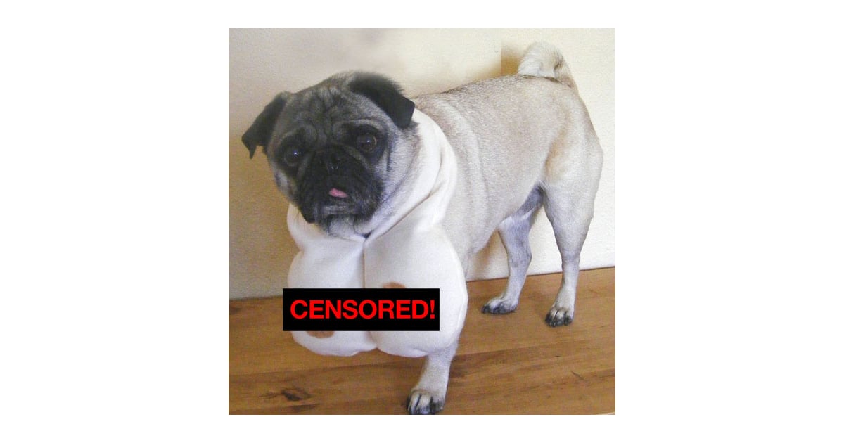 pet boobs