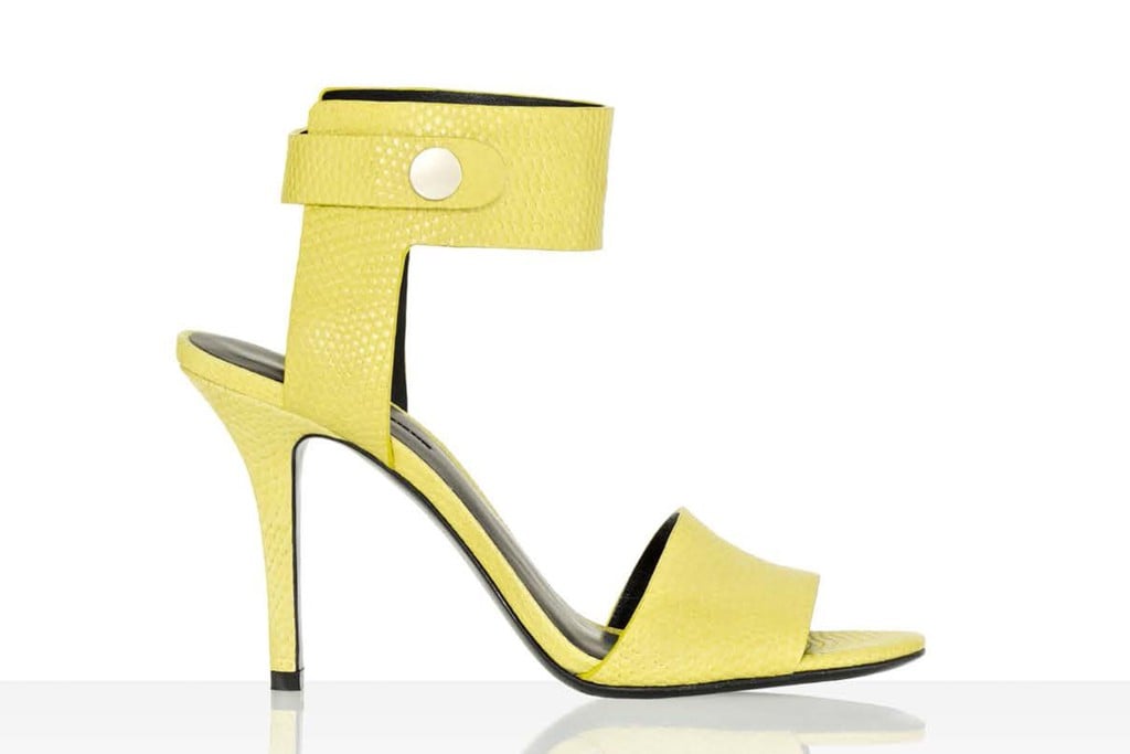 Alexander Wang
Alexander Wang