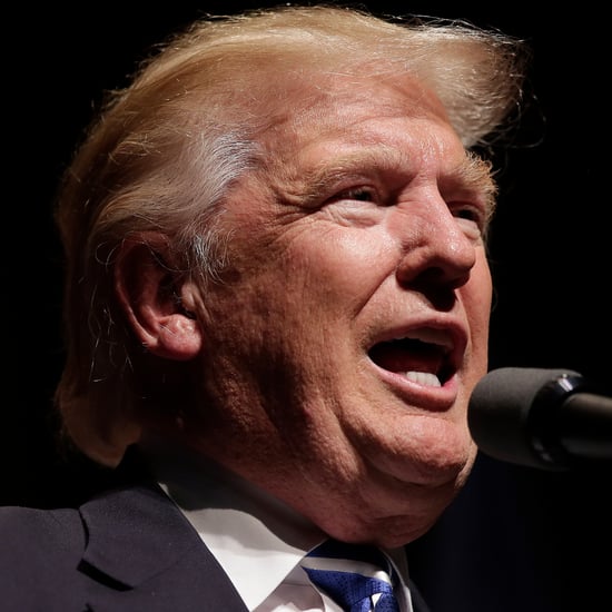 What Donald Trump Would Be Like as President