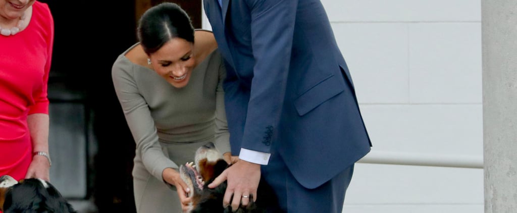 Prince Harry and Meghan Markle's Dog Has a Name, and It's Fit For a King