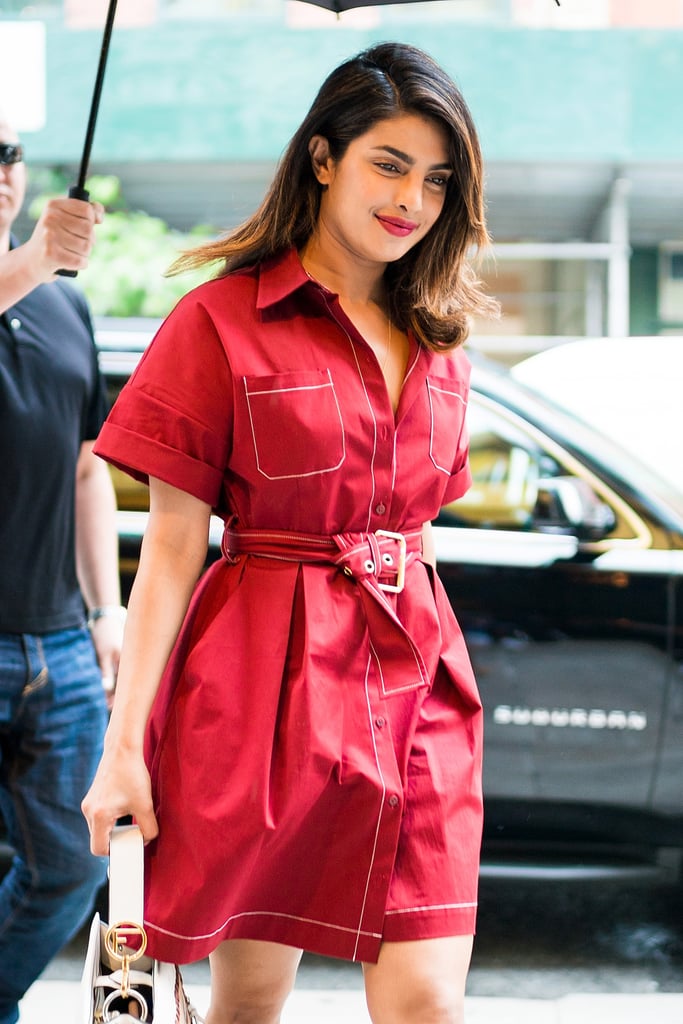 Priyanka Chopra's Diane Von Furstenberg Dress