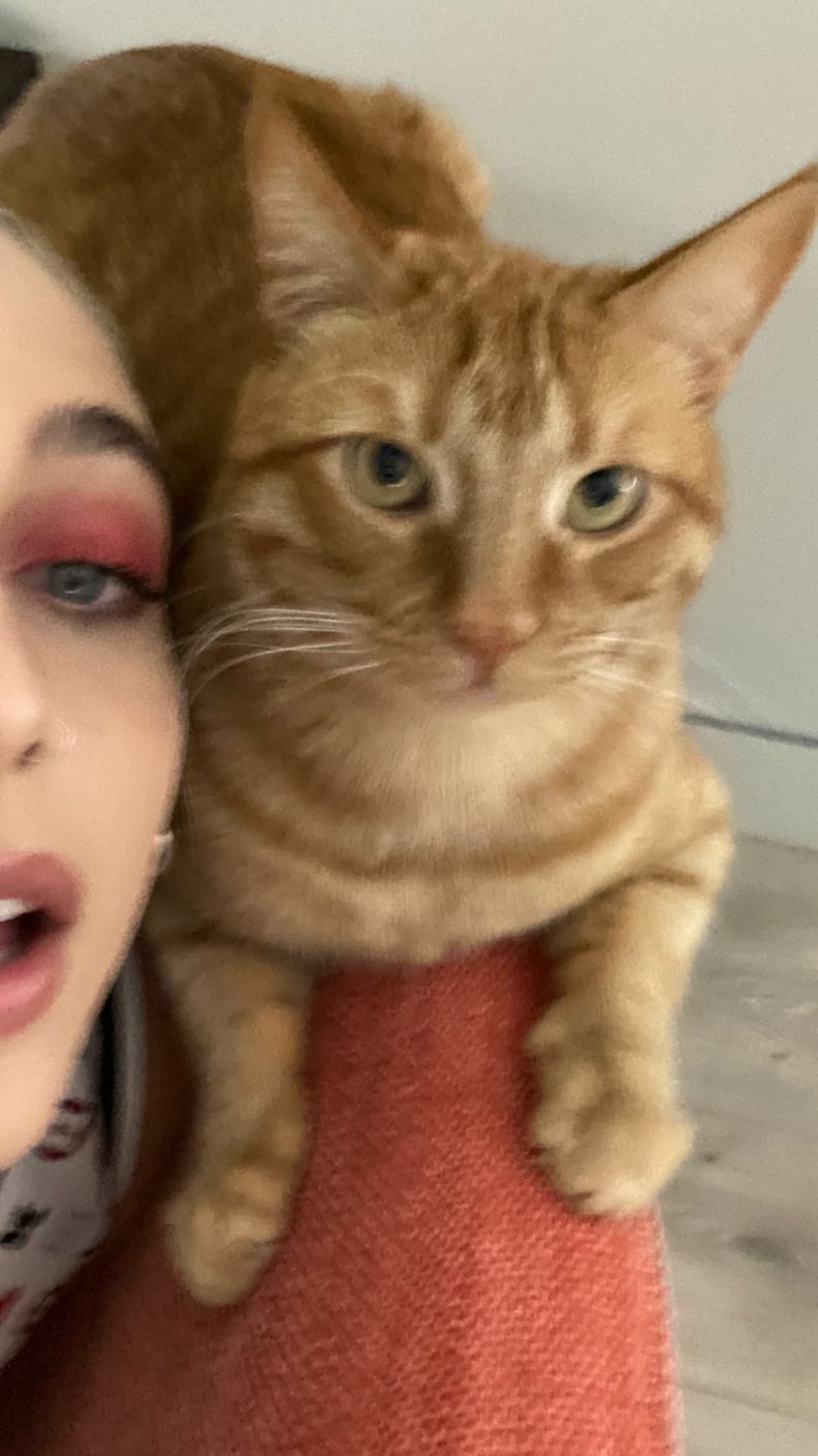Emma Posed From Home With Her Cat