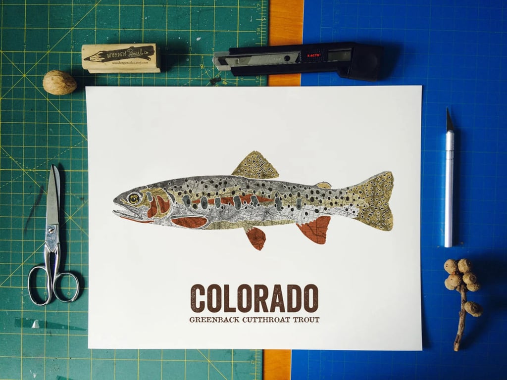 For the Fisherman: Colorado State Fish Map