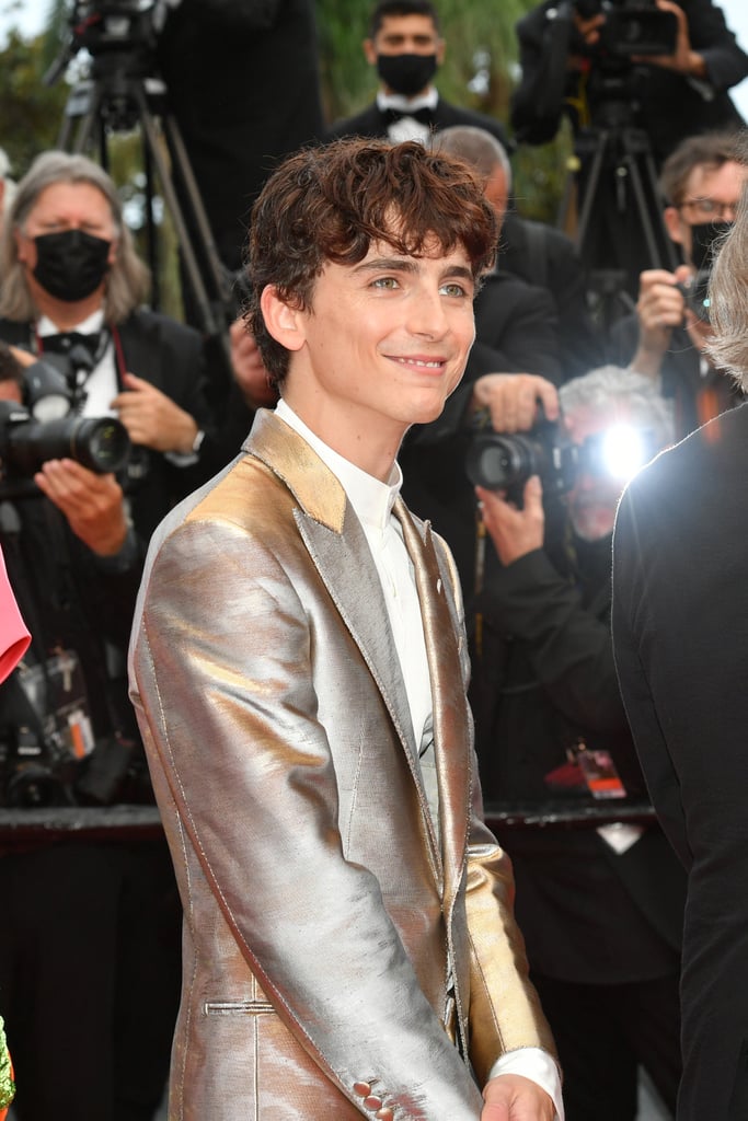 Timothée Chalamet Wears Silver Suit Outfit to Cannes: Photos