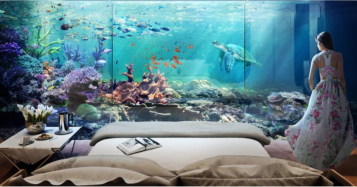 Live Underwater In The Floating Seahorse Luxury Houseboats