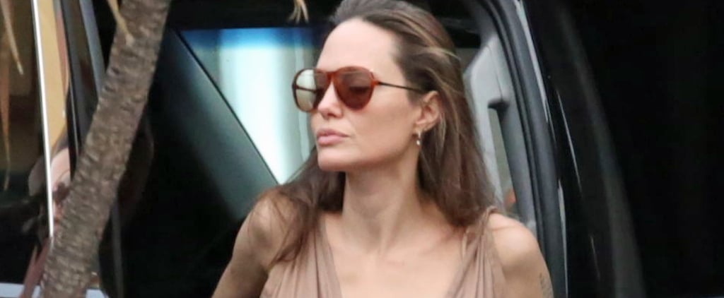 Angelina Jolie Delvaux Woven Box Bag 2019