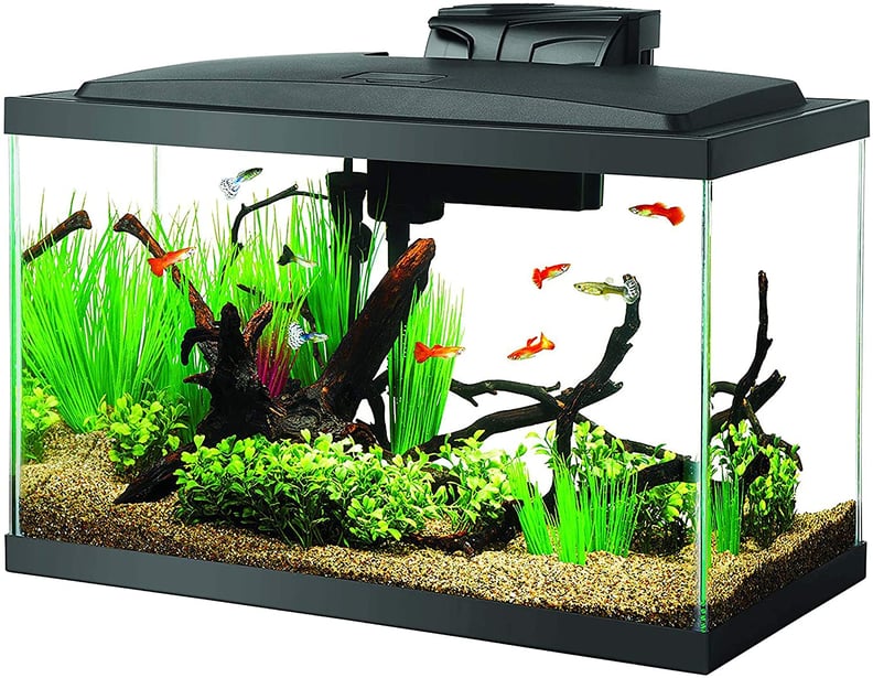 5 Gallon Fish Tank Aquarium Kit LED Light Rectangular Fish Tank