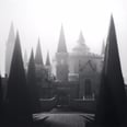 You Can Now Officially Get Sorted Into Ilvermorny, the American Version of Hogwarts