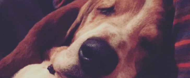 Pioneer Woman Ree Drummond's Dog Charlie