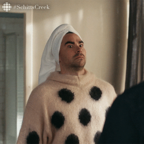 Cat Dressed in Schitt's Creek DIY Halloween Costumes