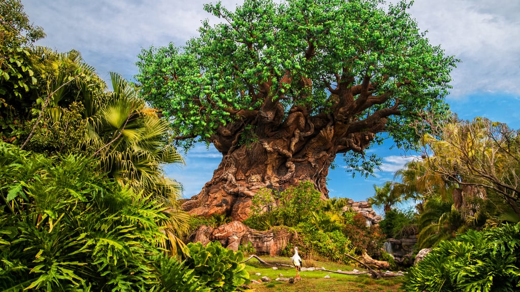 Ways Disney Parks Are Becoming More Sustainable