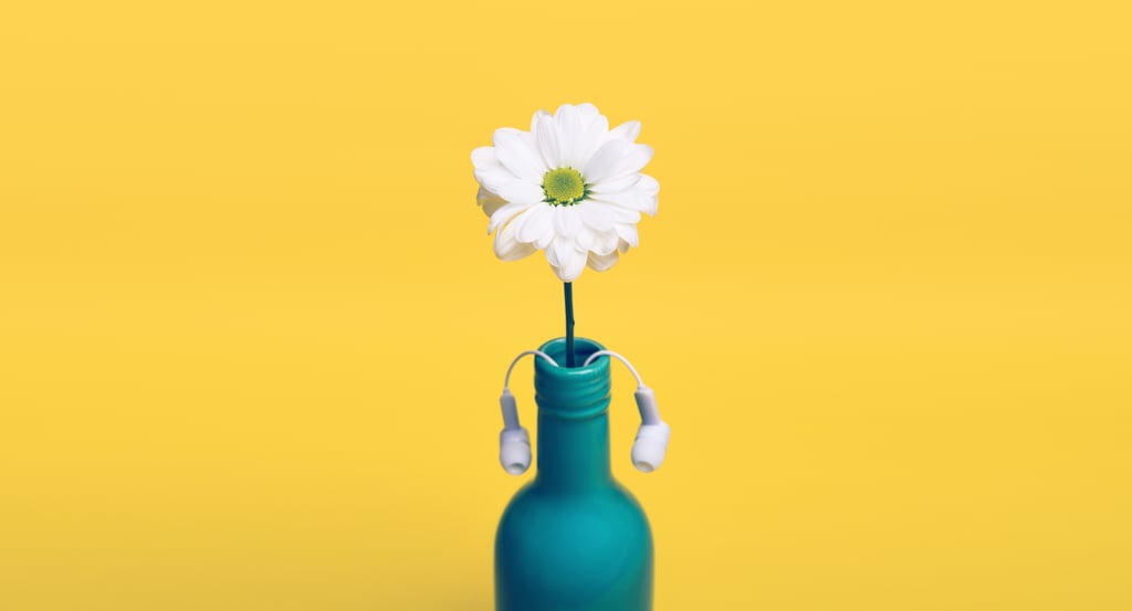 Turn old wine bottles into vases.