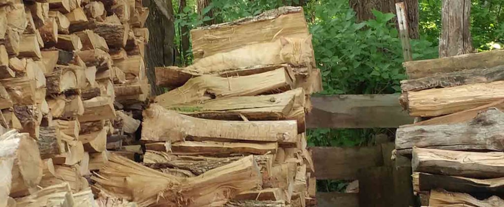 Cat Hidden in Logs Optical Illusion