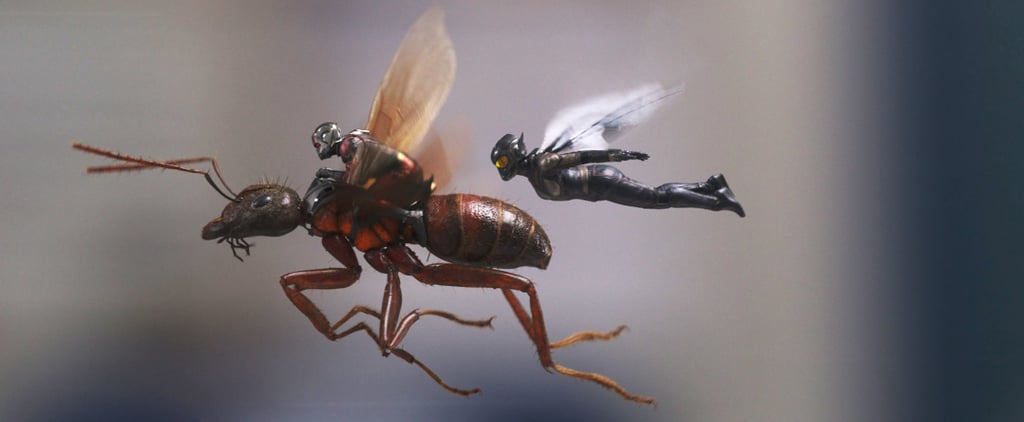 Ant-Man and the Wasp Fan Reactions