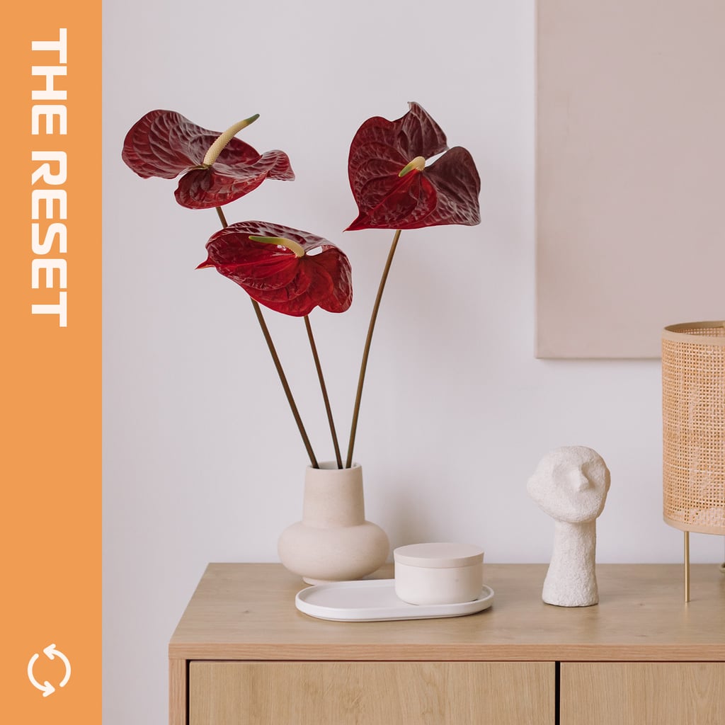 Follow These 12 Golden Rules of Decluttering