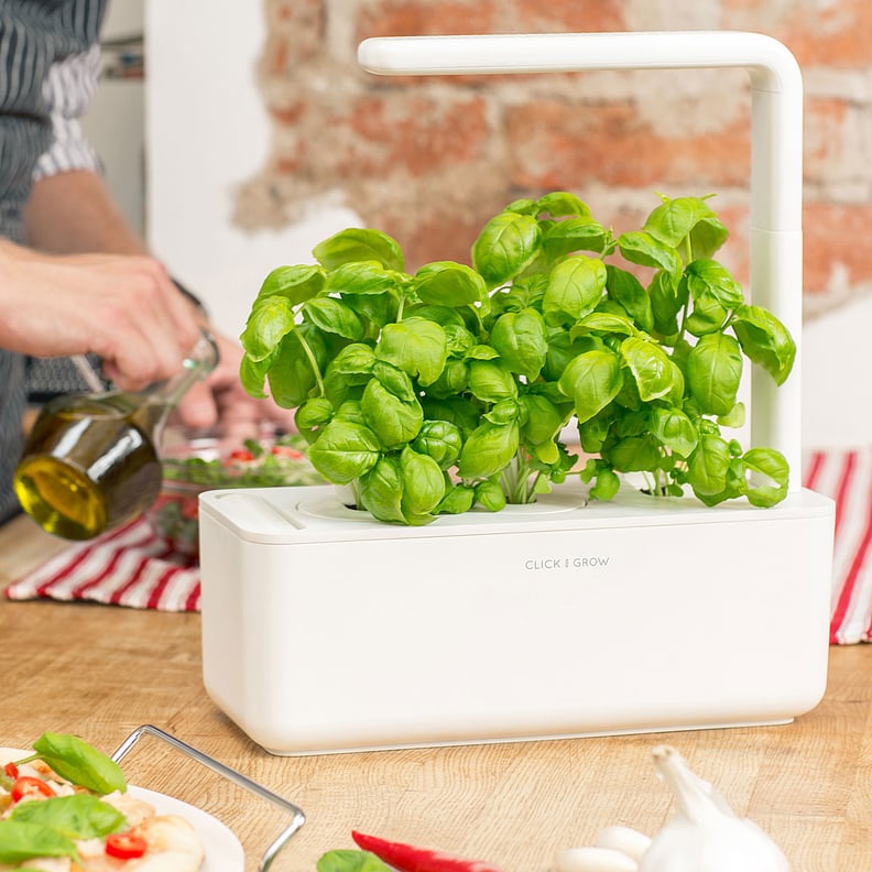 For the Green Thumb: Smart Garden Grow Kit