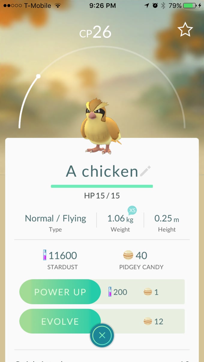 Pidgey aka "A chicken"