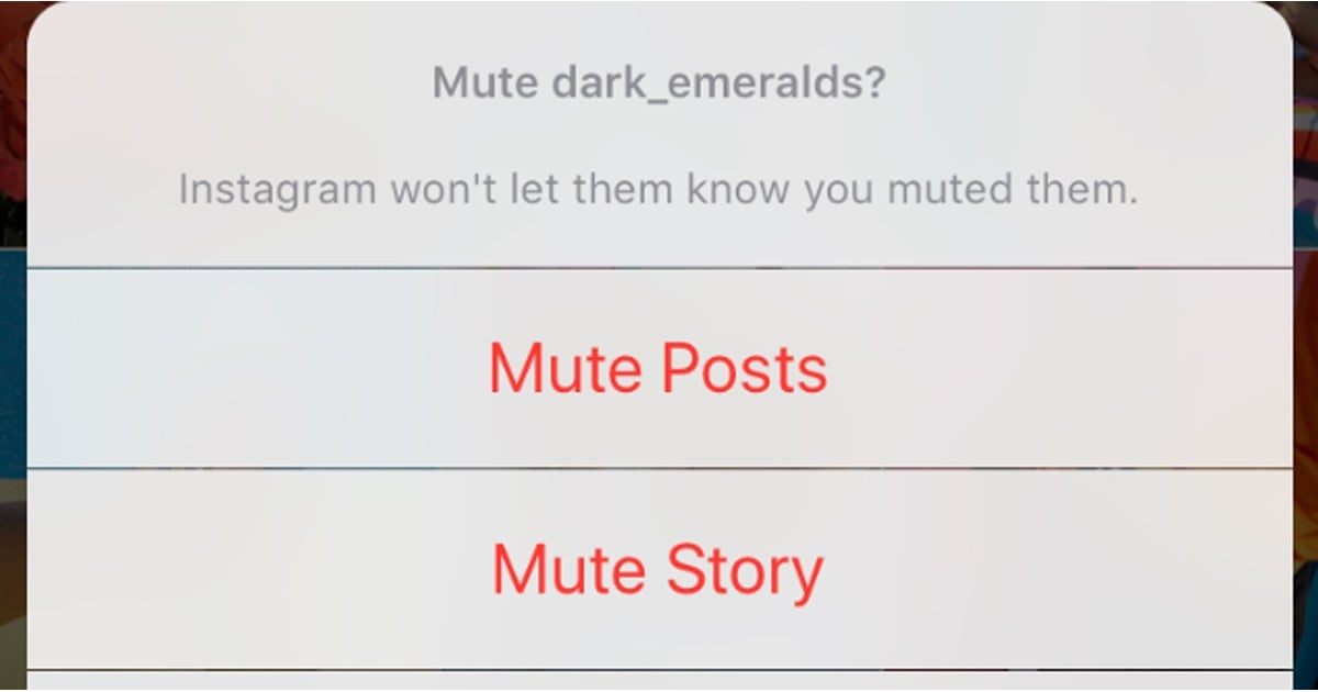 How to Mute Someone on Instagram | POPSUGAR UK News