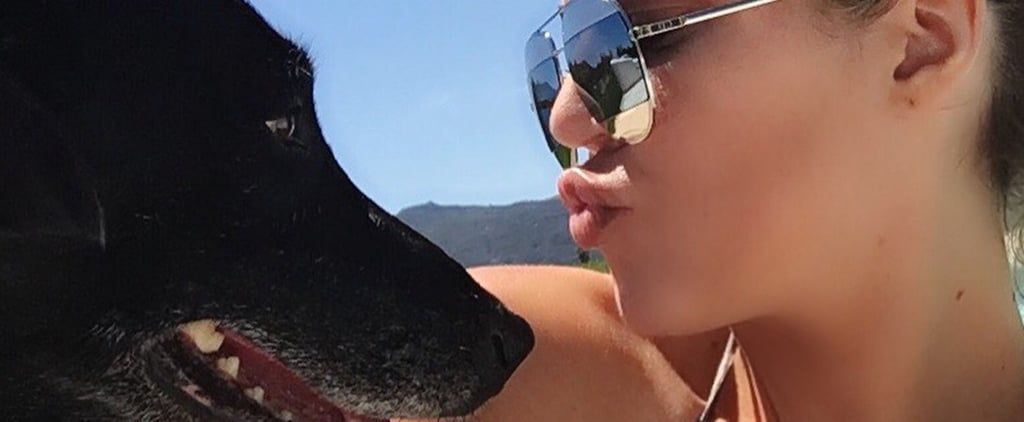Khloe Kardashian's Dog Gabbana Dies