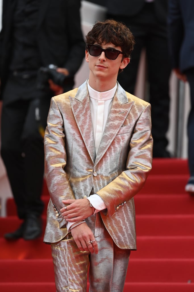 Timothée Chalamet Wears Silver Suit Outfit to Cannes: Photos