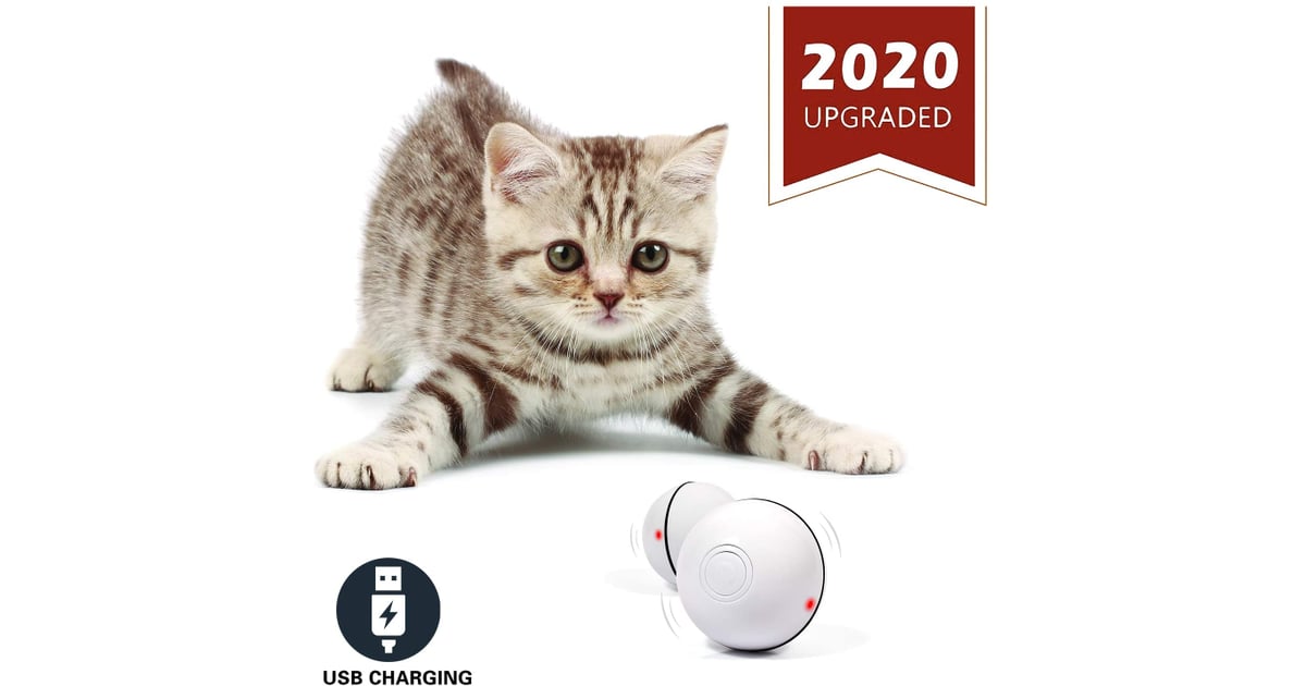 YOFUN Smart Interactive Cat Toy Best Toys to Keep Cats and Kittens