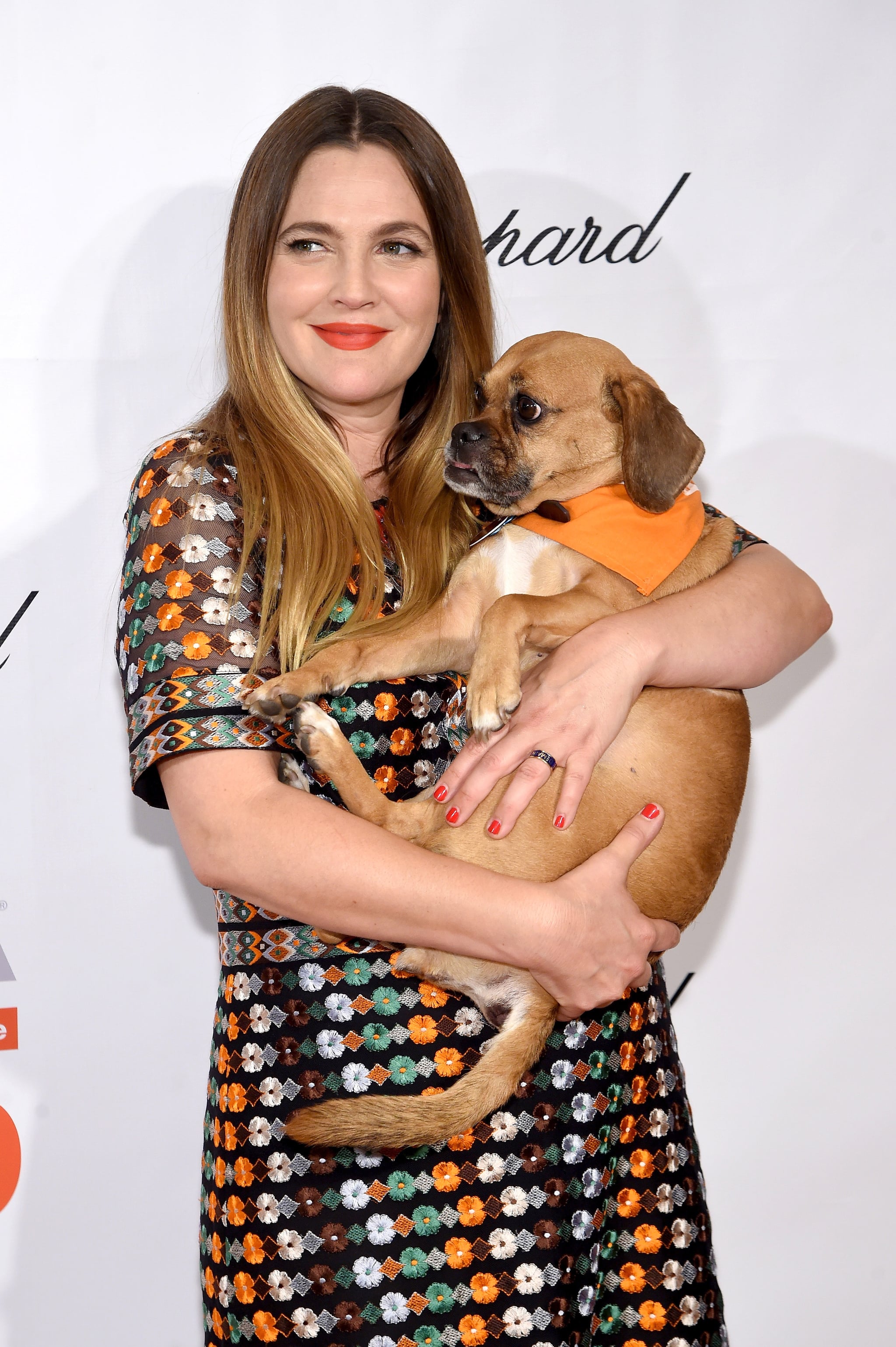 Drew Barrymore At Aspca Bergh Ball 16 Pictures Popsugar Celebrity